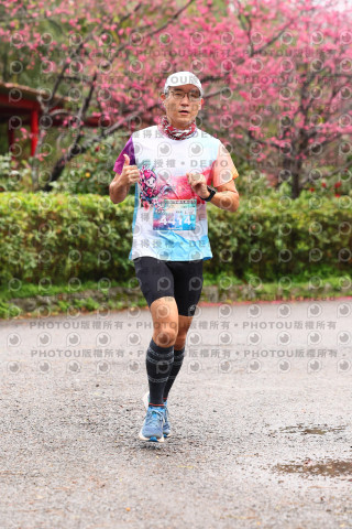 2026左岸竹東櫻花馬拉松Zhudong Sakura Marathon