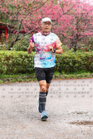 2026左岸竹東櫻花馬拉松Zhudong Sakura Marathon
