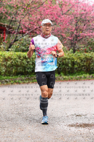 2026左岸竹東櫻花馬拉松Zhudong Sakura Marathon