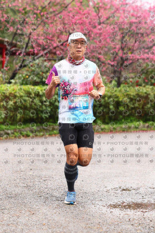 2026左岸竹東櫻花馬拉松Zhudong Sakura Marathon
