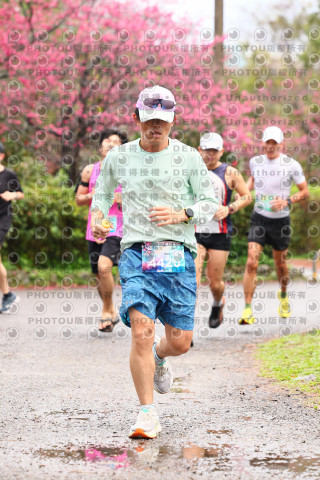 2026左岸竹東櫻花馬拉松Zhudong Sakura Marathon