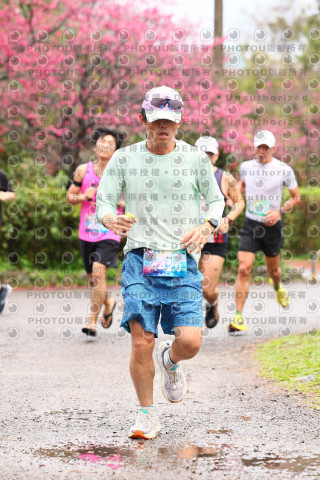 2026左岸竹東櫻花馬拉松Zhudong Sakura Marathon