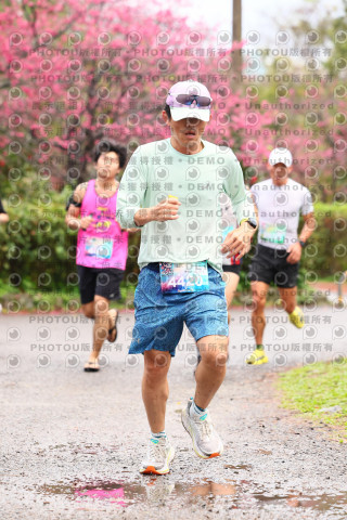 2026左岸竹東櫻花馬拉松Zhudong Sakura Marathon