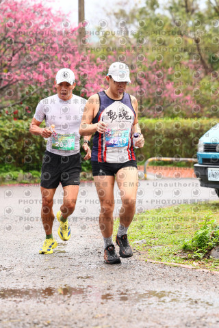 2026左岸竹東櫻花馬拉松Zhudong Sakura Marathon