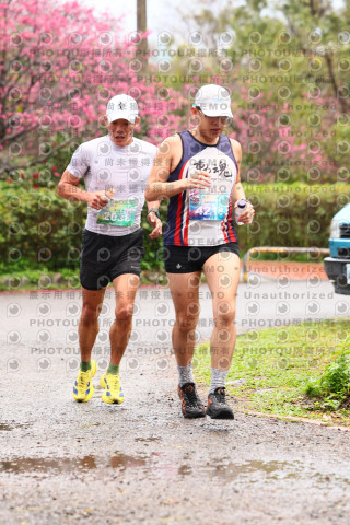 2026左岸竹東櫻花馬拉松Zhudong Sakura Marathon