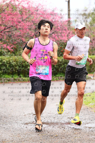 2026左岸竹東櫻花馬拉松Zhudong Sakura Marathon