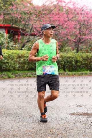 2026左岸竹東櫻花馬拉松Zhudong Sakura Marathon