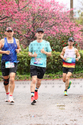 2026左岸竹東櫻花馬拉松Zhudong Sakura Marathon