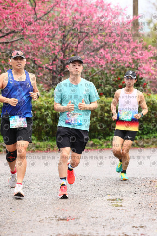 2026左岸竹東櫻花馬拉松Zhudong Sakura Marathon