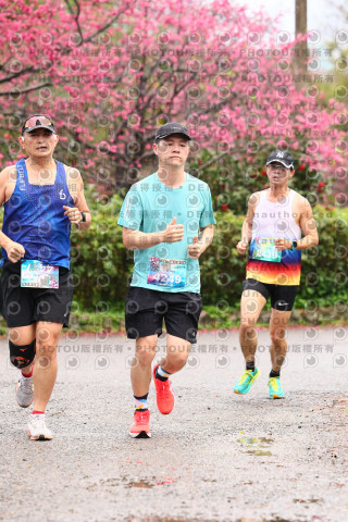 2026左岸竹東櫻花馬拉松Zhudong Sakura Marathon