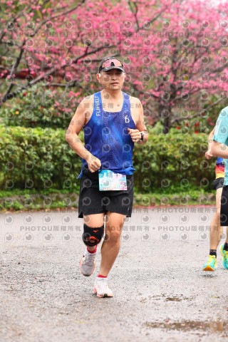 2026左岸竹東櫻花馬拉松Zhudong Sakura Marathon