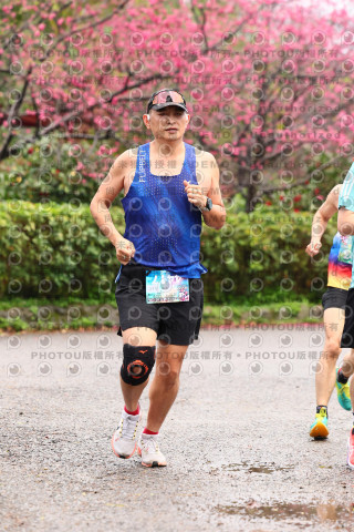 2026左岸竹東櫻花馬拉松Zhudong Sakura Marathon