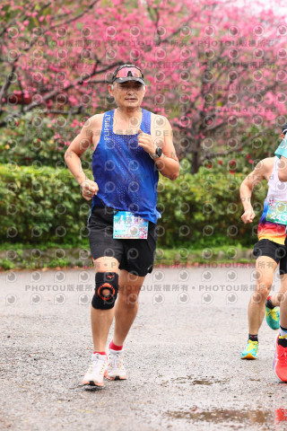 2026左岸竹東櫻花馬拉松Zhudong Sakura Marathon