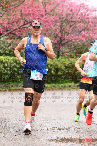 2026左岸竹東櫻花馬拉松Zhudong Sakura Marathon