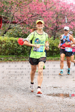 2026左岸竹東櫻花馬拉松Zhudong Sakura Marathon