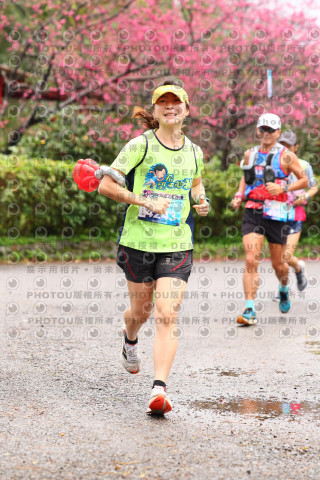 2026左岸竹東櫻花馬拉松Zhudong Sakura Marathon