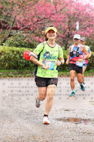 2026左岸竹東櫻花馬拉松Zhudong Sakura Marathon