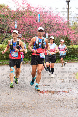 2026左岸竹東櫻花馬拉松Zhudong Sakura Marathon