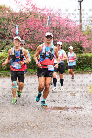 2026左岸竹東櫻花馬拉松Zhudong Sakura Marathon