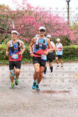 2026左岸竹東櫻花馬拉松Zhudong Sakura Marathon