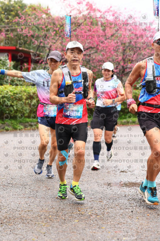2026左岸竹東櫻花馬拉松Zhudong Sakura Marathon