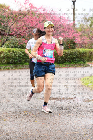 2026左岸竹東櫻花馬拉松Zhudong Sakura Marathon