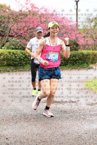 2026左岸竹東櫻花馬拉松Zhudong Sakura Marathon
