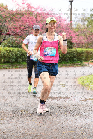 2026左岸竹東櫻花馬拉松Zhudong Sakura Marathon