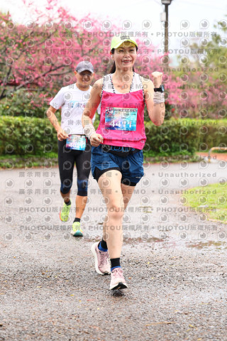 2026左岸竹東櫻花馬拉松Zhudong Sakura Marathon
