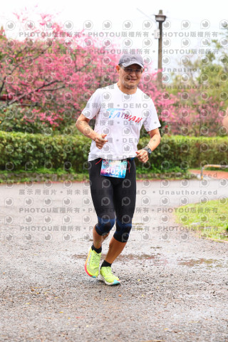 2026左岸竹東櫻花馬拉松Zhudong Sakura Marathon