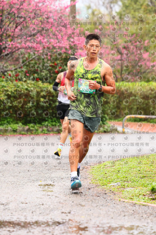 2026左岸竹東櫻花馬拉松Zhudong Sakura Marathon