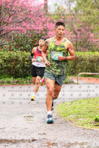 2026左岸竹東櫻花馬拉松Zhudong Sakura Marathon