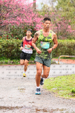 2026左岸竹東櫻花馬拉松Zhudong Sakura Marathon