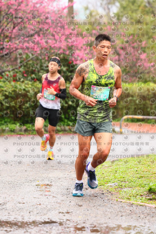 2026左岸竹東櫻花馬拉松Zhudong Sakura Marathon