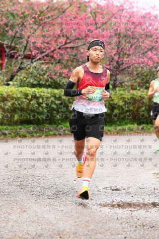 2026左岸竹東櫻花馬拉松Zhudong Sakura Marathon