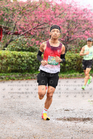 2026左岸竹東櫻花馬拉松Zhudong Sakura Marathon