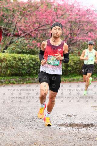 2026左岸竹東櫻花馬拉松Zhudong Sakura Marathon