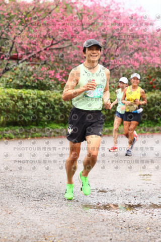 2026左岸竹東櫻花馬拉松Zhudong Sakura Marathon