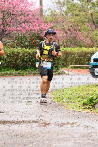 2026左岸竹東櫻花馬拉松Zhudong Sakura Marathon