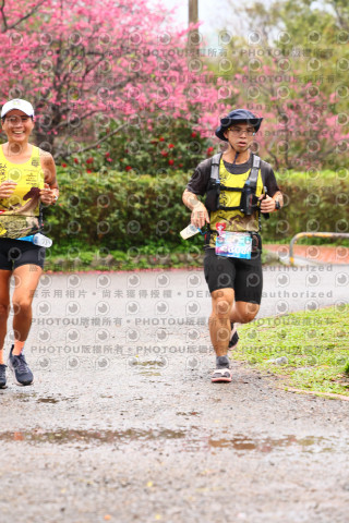 2026左岸竹東櫻花馬拉松Zhudong Sakura Marathon