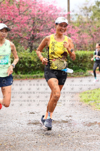 2026左岸竹東櫻花馬拉松Zhudong Sakura Marathon