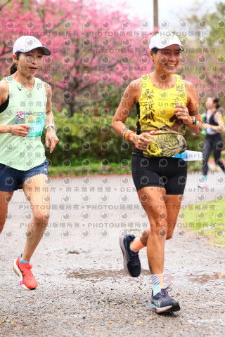 2026左岸竹東櫻花馬拉松Zhudong Sakura Marathon