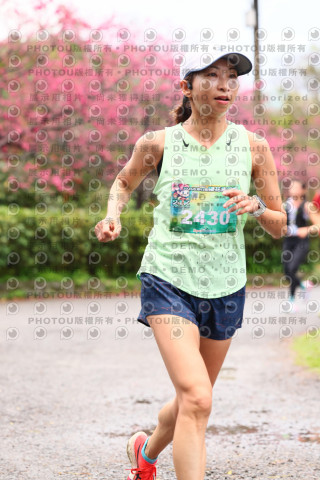 2026左岸竹東櫻花馬拉松Zhudong Sakura Marathon