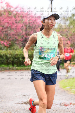 2026左岸竹東櫻花馬拉松Zhudong Sakura Marathon