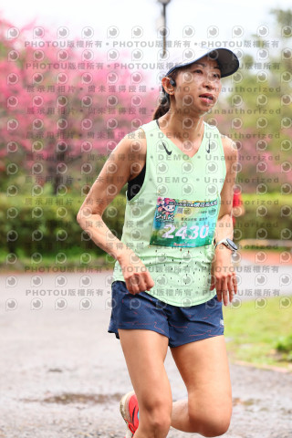 2026左岸竹東櫻花馬拉松Zhudong Sakura Marathon