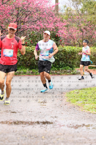 2026左岸竹東櫻花馬拉松Zhudong Sakura Marathon