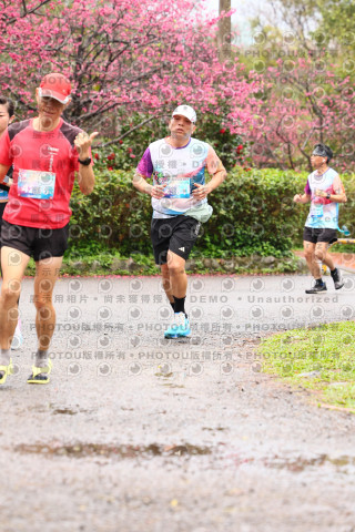 2026左岸竹東櫻花馬拉松Zhudong Sakura Marathon