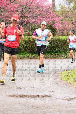 2026左岸竹東櫻花馬拉松Zhudong Sakura Marathon