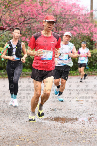 2026左岸竹東櫻花馬拉松Zhudong Sakura Marathon