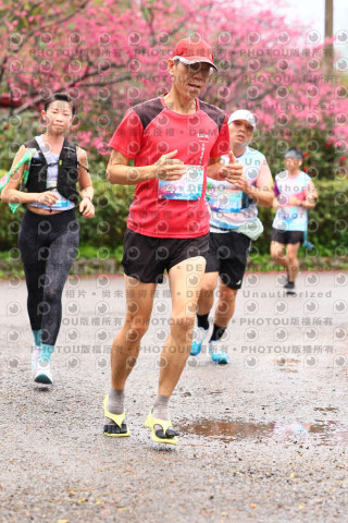 2026左岸竹東櫻花馬拉松Zhudong Sakura Marathon